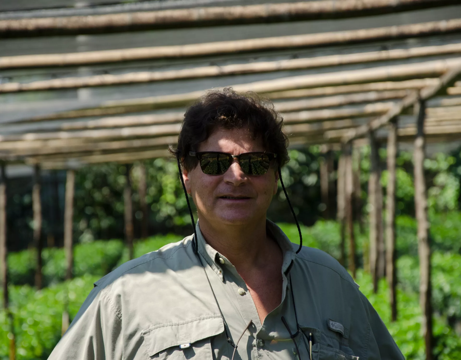 Alex Herrera