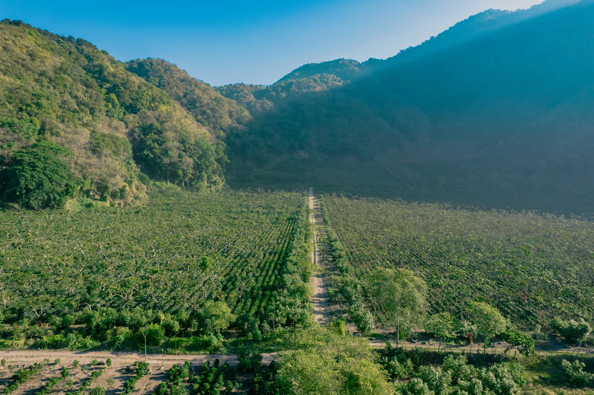 DJI_0024