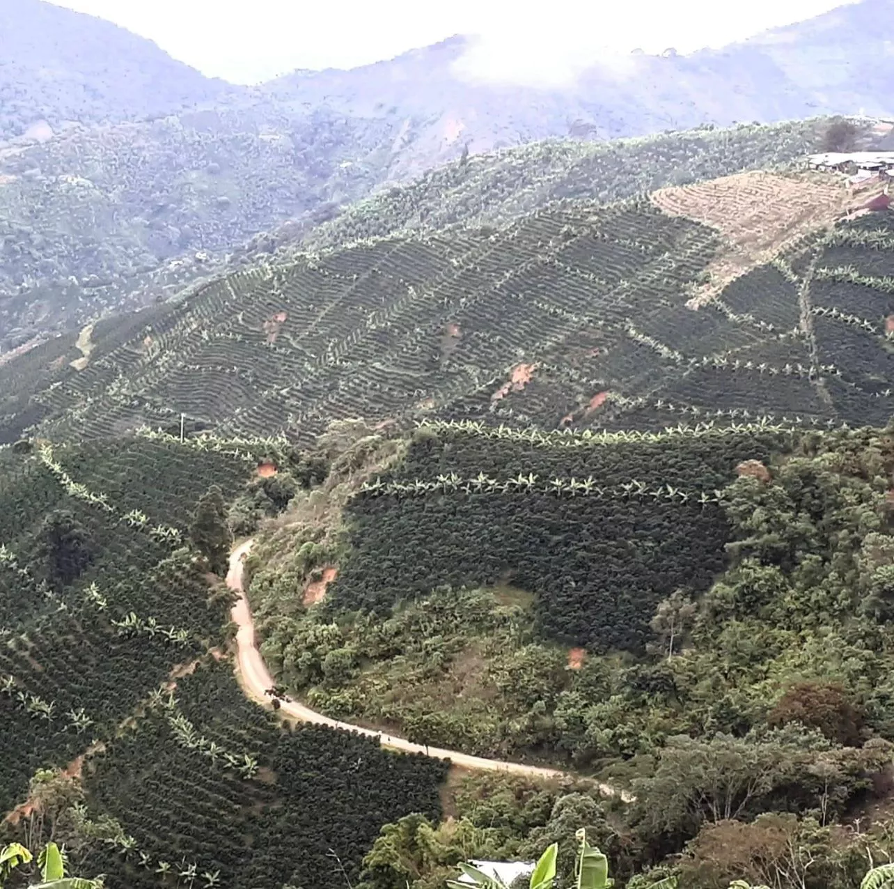 La Lindosa, Huila, Colombia - Image 2