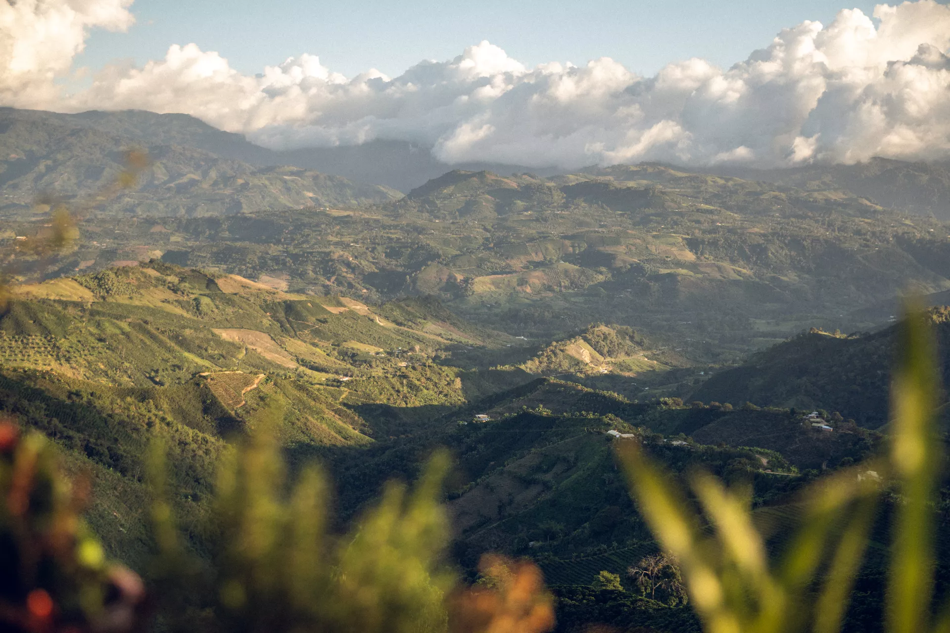 La Lindosa, Huila, Colombia - Image 6