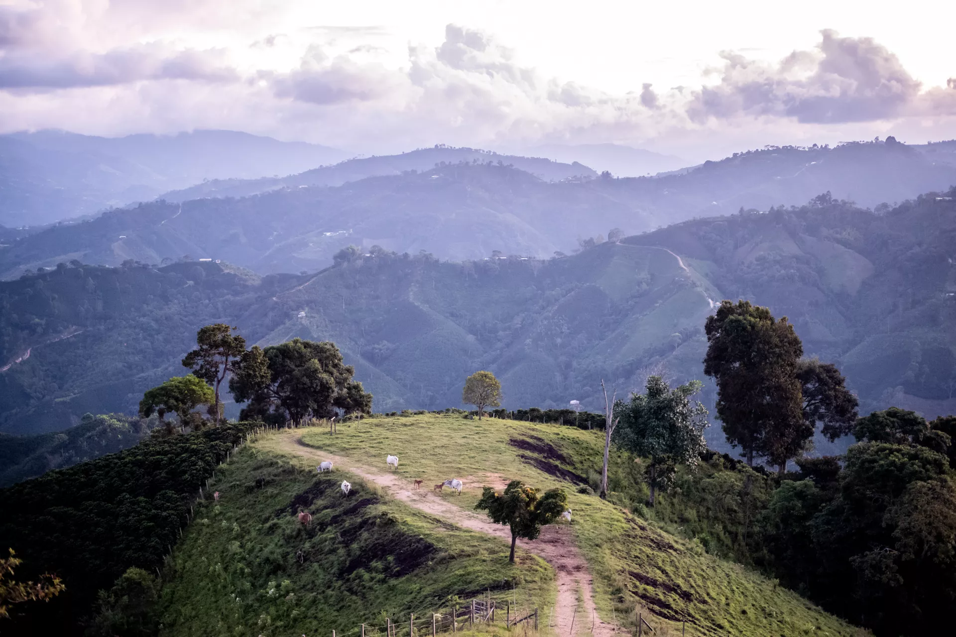 La Lindosa, Huila, Colombia - Image 5