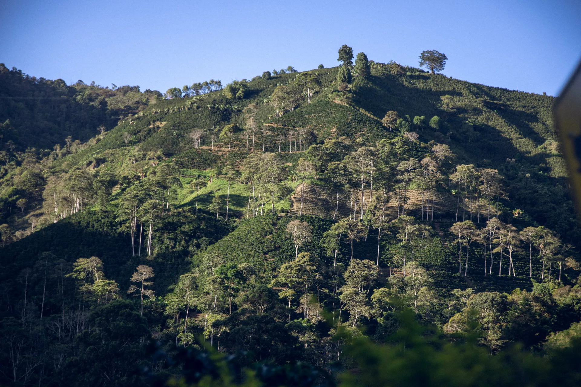 La Lindosa, Huila, Colombia - Image 4